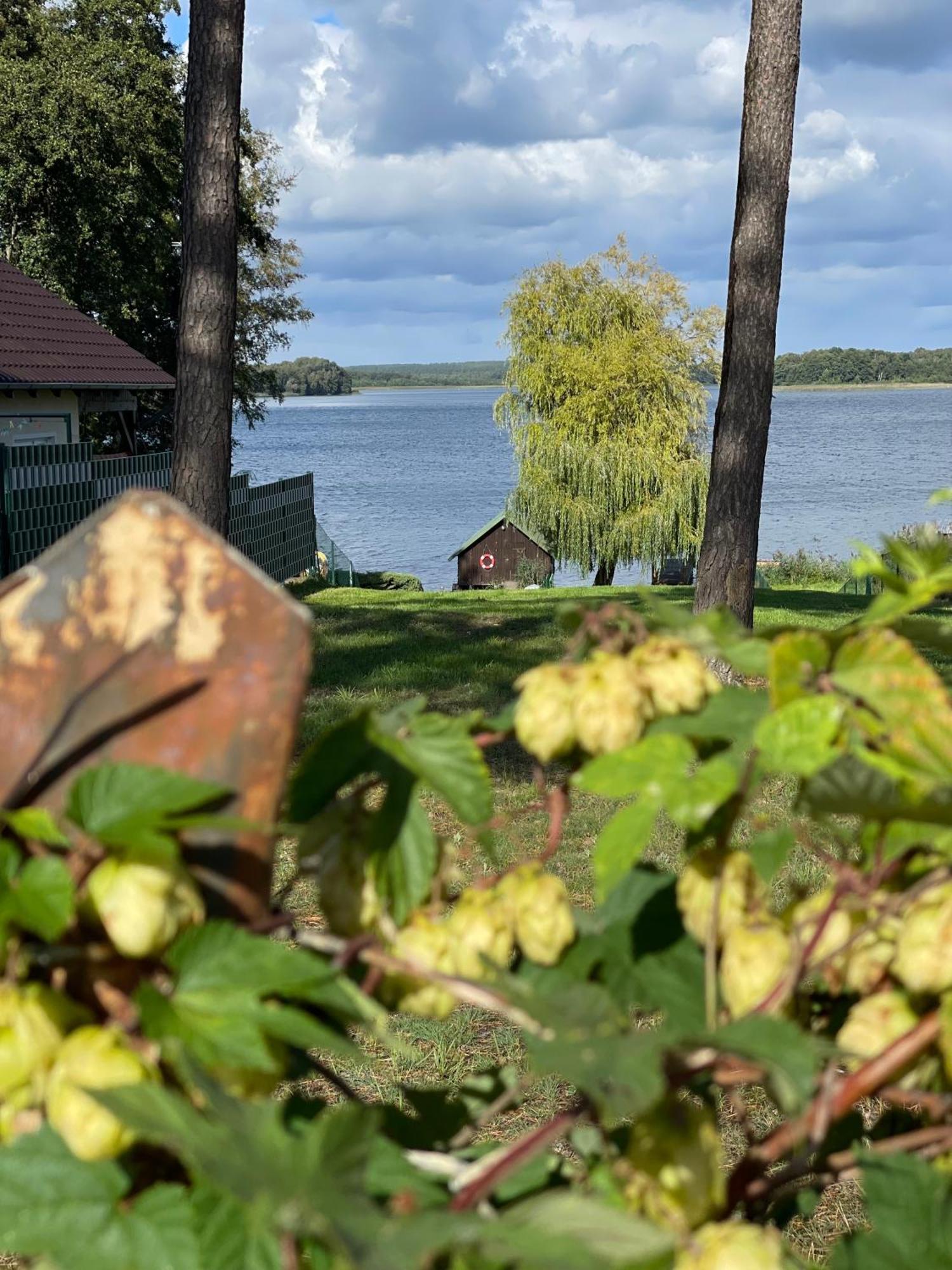Urlaub Am Plaetlinsee Haus Rike Holiday home Wustrow (Mecklenburg-Strelitz)